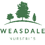 Weasdale logo